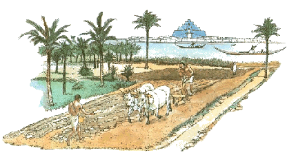 Sumerian agriculture