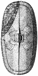 11. Escudo romano